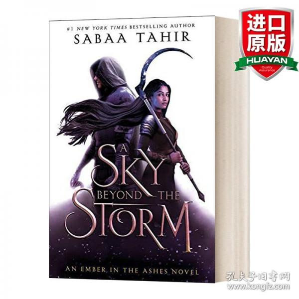 英文原版 A Sky Beyond the Storm  
