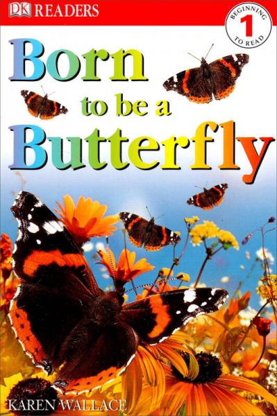 Born to be a Butterfly  蝴蝶的一生