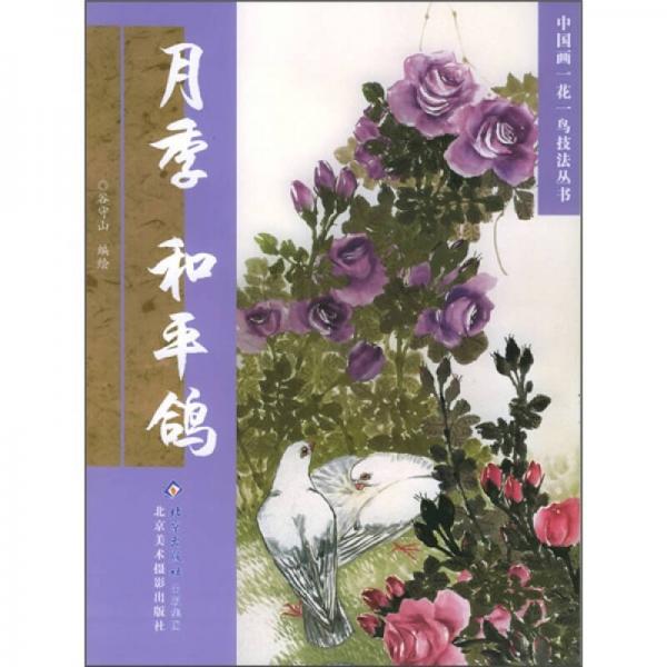 月季·和平鴿