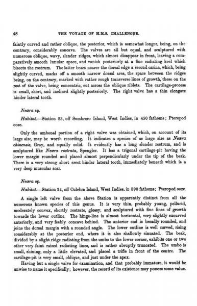 挑战者号航海考察科学成果报告/寰宇文献Science系列