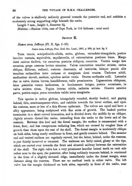 挑战者号航海考察科学成果报告/寰宇文献Science系列