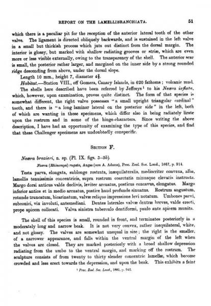 挑战者号航海考察科学成果报告/寰宇文献Science系列