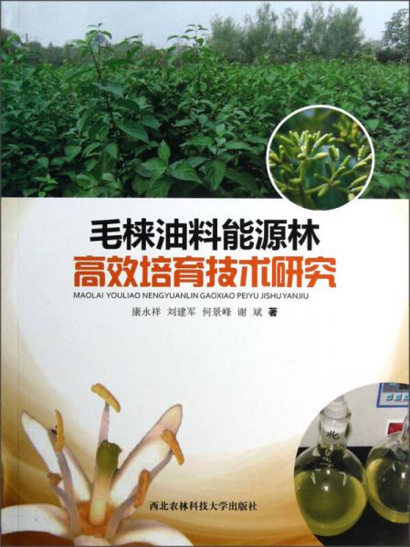 毛梾油料能源林高效培育技術(shù)研究