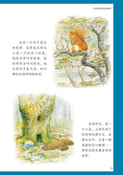 彼得兔经典绘本