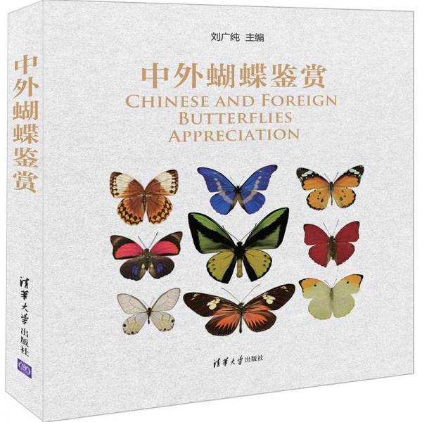 中外蝴蝶鑒賞