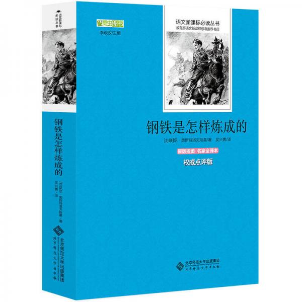 鋼鐵是怎樣煉成的 語文叢書 