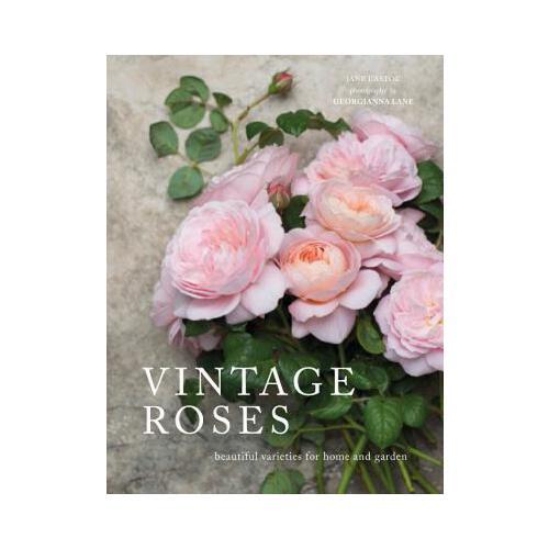 Vintage Roses: Beautiful Varieties for Home and Garden