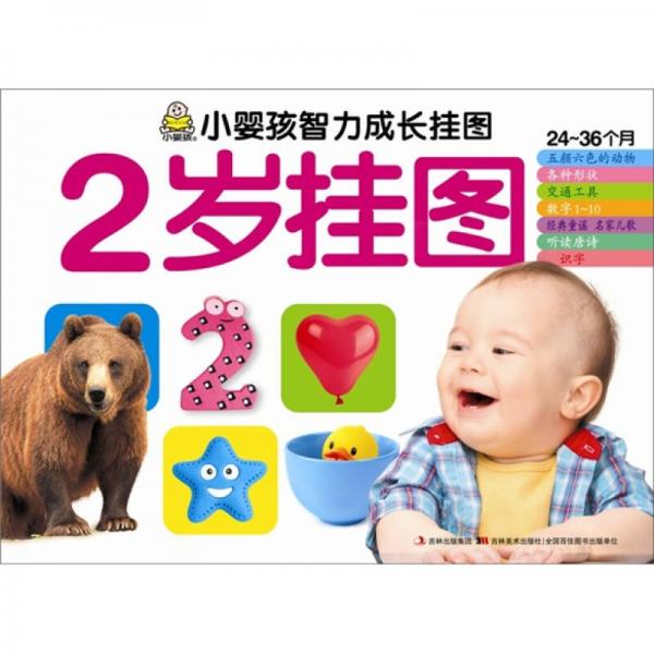 小婴孩智力成长挂图：2岁挂图