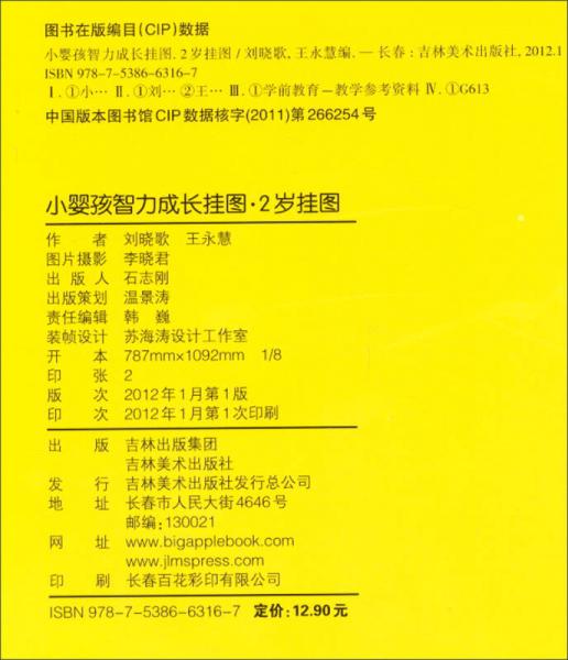 小婴孩智力成长挂图：2岁挂图