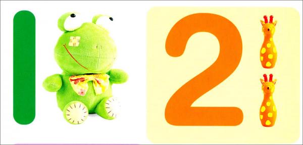 小婴孩智力成长挂图：2岁挂图