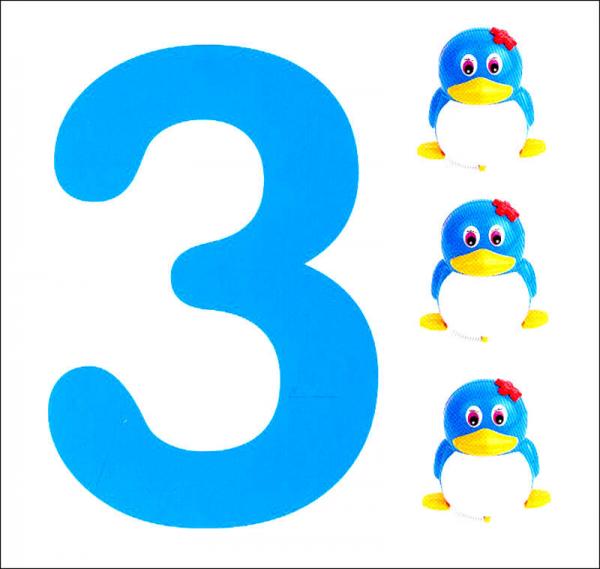 小婴孩智力成长挂图：2岁挂图