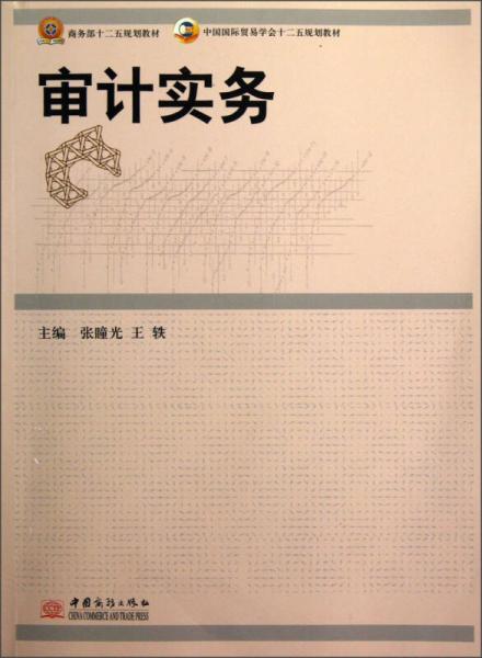 中國(guó)國(guó)際貿(mào)易學(xué)會(huì)十二五規(guī)劃教材：審計(jì)實(shí)務(wù)