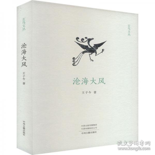 玄鸟文丛：沧海大风