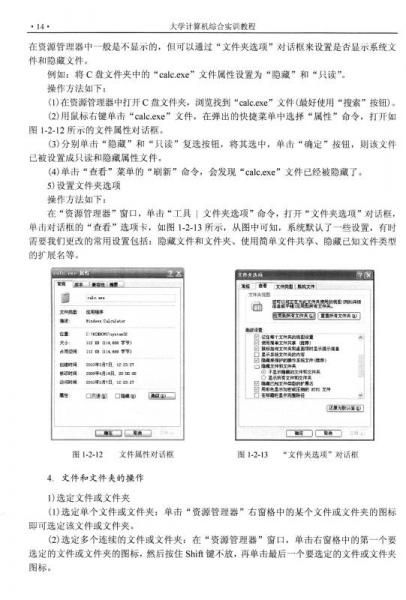 大学计算机综合实训教程