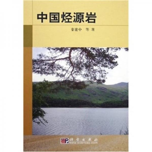 中國(guó)烴源巖