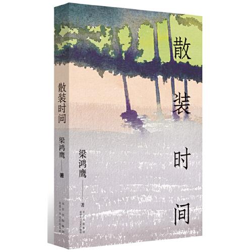 散裝時(shí)間 中國(guó)現(xiàn)當(dāng)代文學(xué) 梁鴻鷹 新華正版