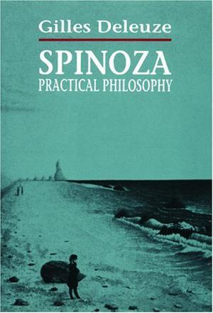 Spinoza：Spinoza