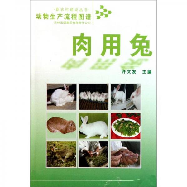 動物生產(chǎn)流程圖譜：肉用兔