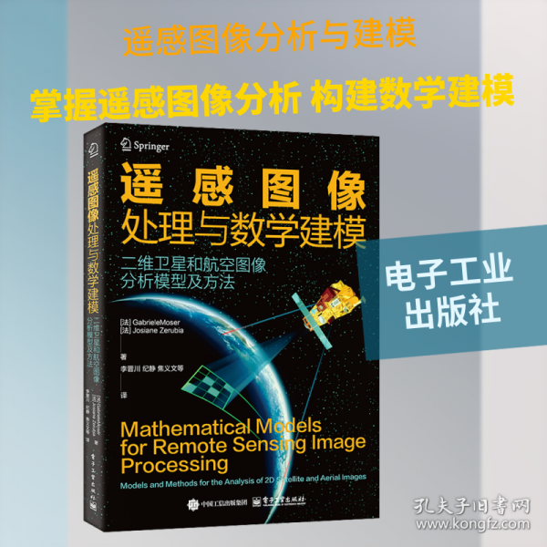 遥感图像处理与数学建模――二维卫星和航空图像分析模型及方法