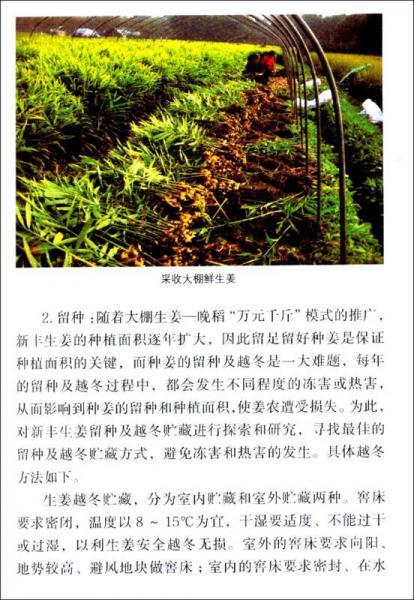 創(chuàng)新農(nóng)作制度實(shí)用新技術(shù)叢書：糧經(jīng)結(jié)合“千斤萬元”種植模式與技術(shù)