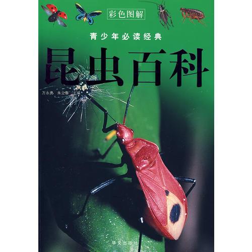 昆虫百科