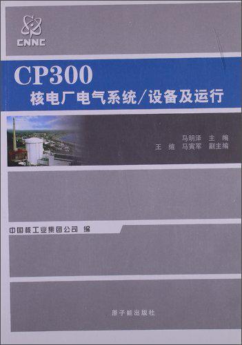 CP300核電廠(chǎng)電氣系統(tǒng)/設(shè)備及運(yùn)行