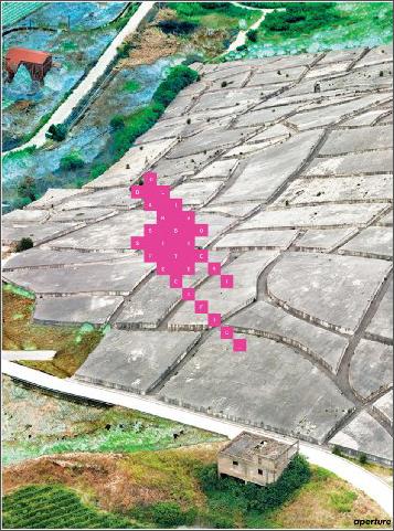 OlivoBarbieri:SiteSpecific