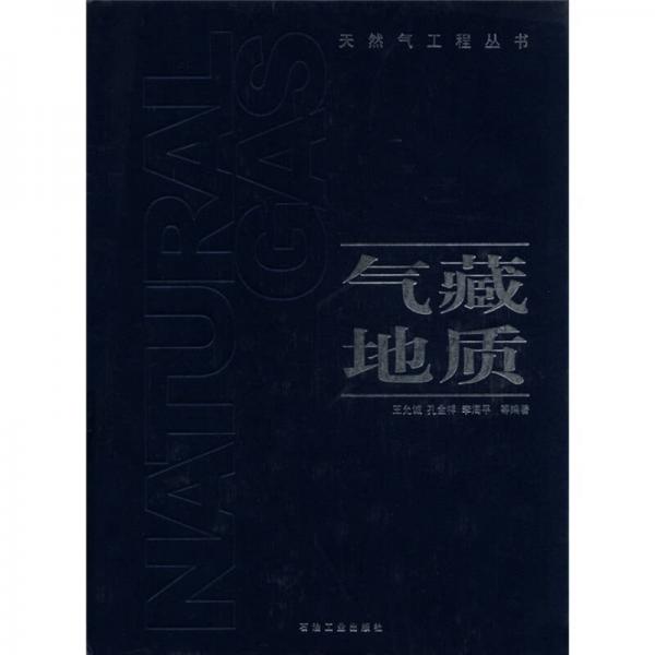 天然氣工程叢書：氣藏地質(zhì)