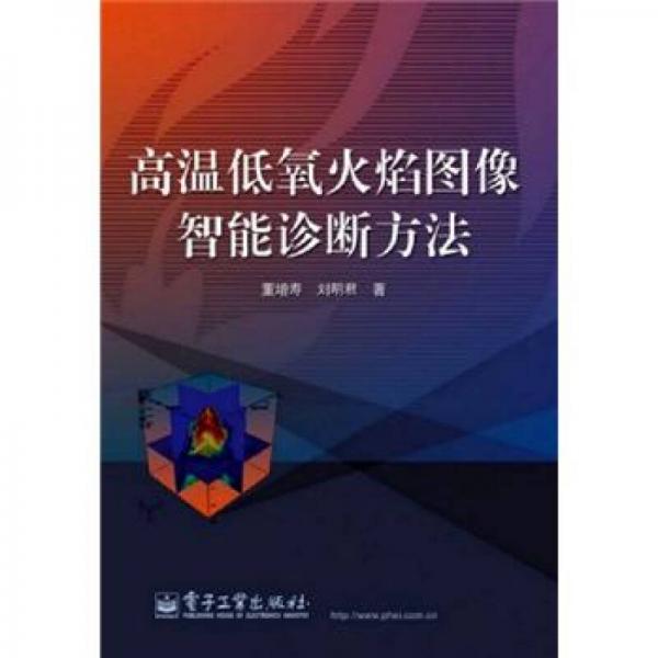 高温低氧火焰图像智能诊断方法