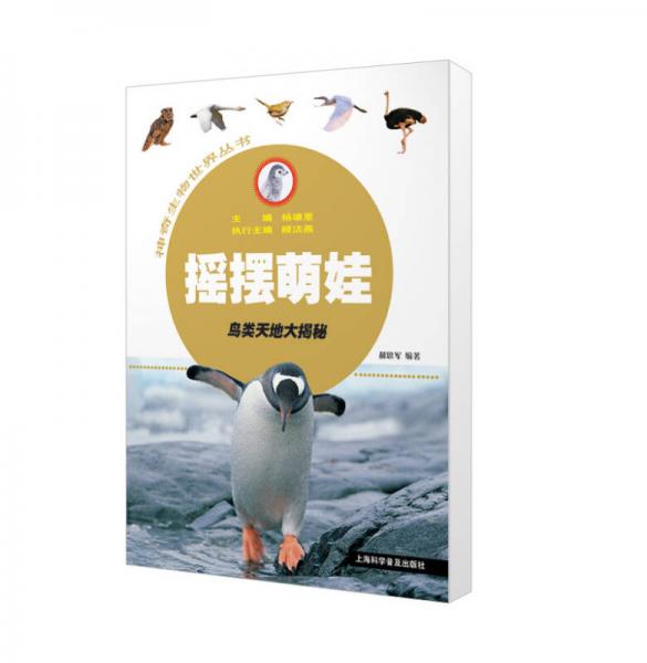 搖擺萌娃——鳥(niǎo)類(lèi)天地大揭秘