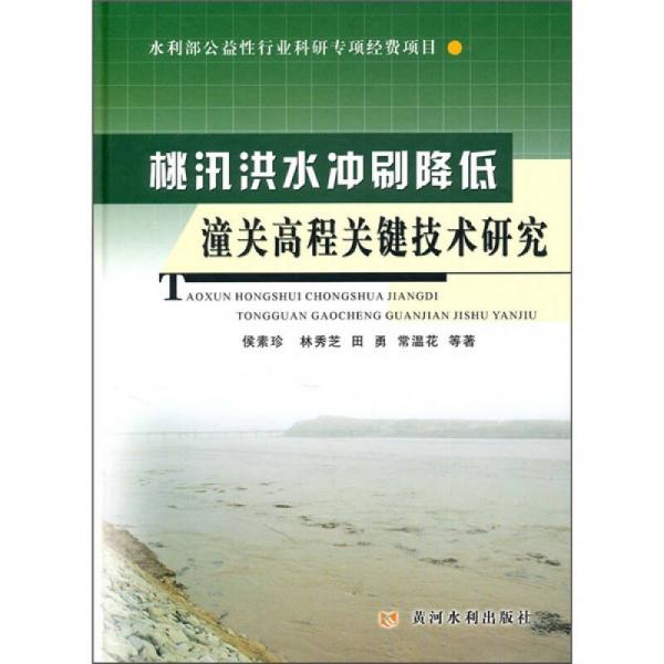 桃汛洪水冲刷降低潼关高程关键技术研究