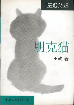 朋克猫：王敖诗选