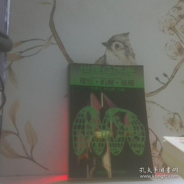 世界經(jīng)濟學(xué):理論·機制·格局