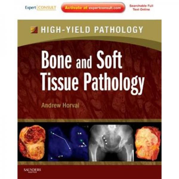 Bone and Soft Tissue Pathology骨与软组织病理学:高产病理学系列:专家咨询(印刷版与网络版)