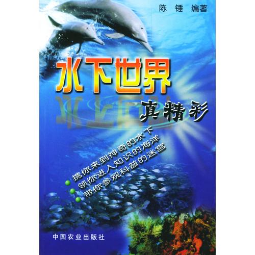 水下世界真精彩