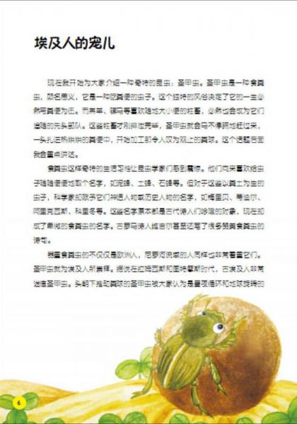 昆虫记·最恶心的食粪虫：嗡蜣螂、粪金龟