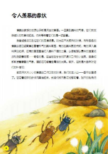 昆虫记·最恶心的食粪虫：嗡蜣螂、粪金龟