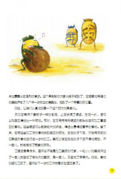 昆虫记·最恶心的食粪虫：嗡蜣螂、粪金龟