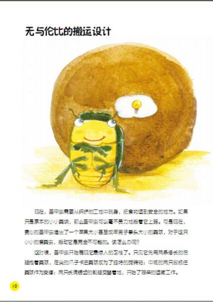 昆虫记·最恶心的食粪虫：嗡蜣螂、粪金龟
