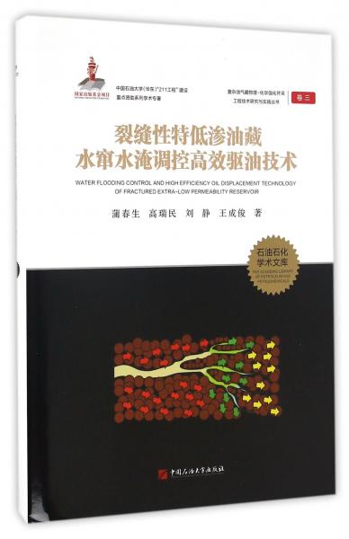 復(fù)雜油氣藏物理-化學(xué)強(qiáng)化開采工程技術(shù)研究與實(shí)踐叢書;3裂縫性特低滲油藏水竄水淹調(diào)控高效驅(qū)油技術(shù)