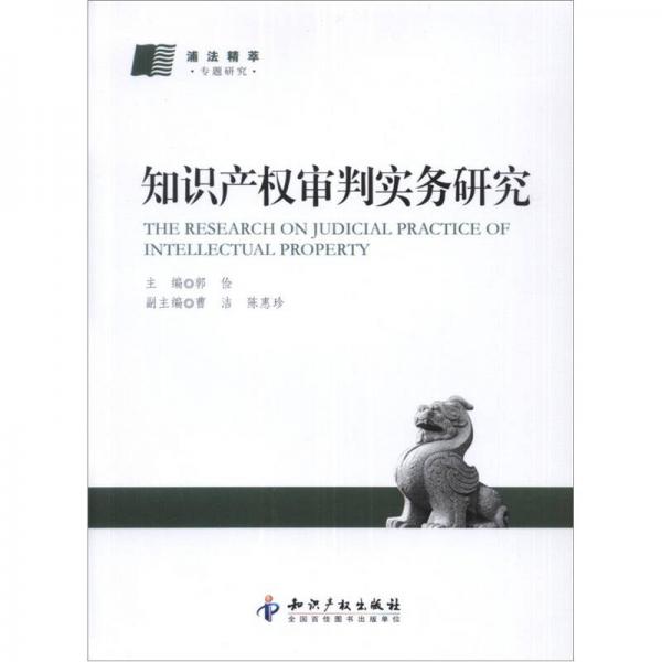 知识产权审判实务研究