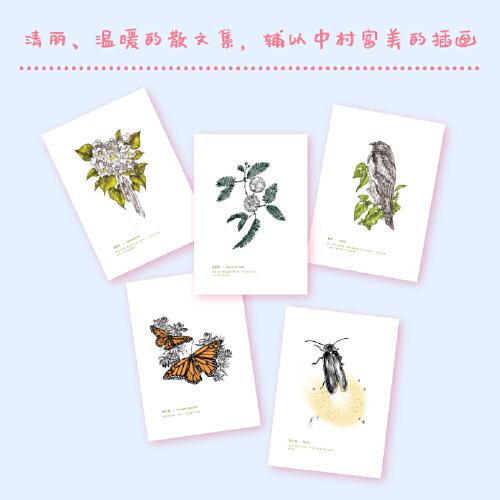 【貝頁】六角恐龍的微笑 一首大自然的贊美詩，一部愛與歸屬的回憶錄