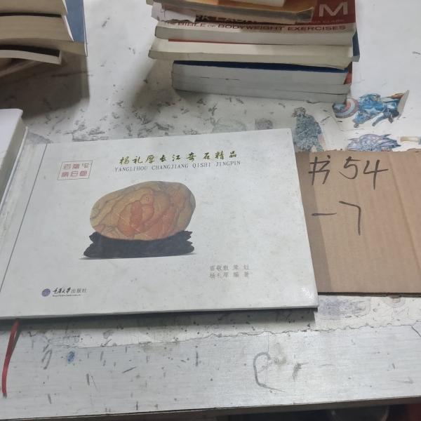 楊禮厚長江奇石精品