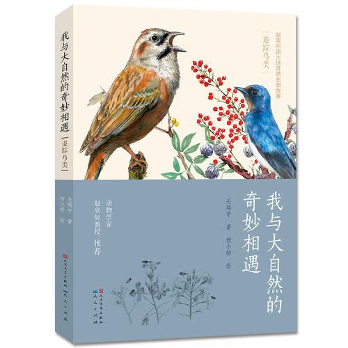 我與大自然的奇妙相遇：追蹤鳥類