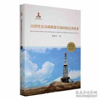 全新正版圖書 高酸性復(fù)雜碳酸鹽巖油田鉆完井技術(shù)路保中國(guó)石油大學(xué)出版社9787563669684 黎明書店