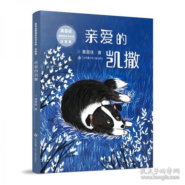 黄蓓佳倾情桥梁书系列：亲爱的凯撒