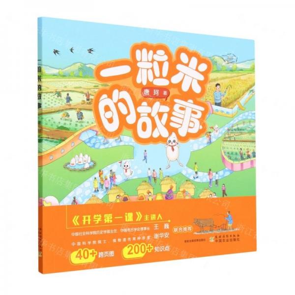 一粒米的故事