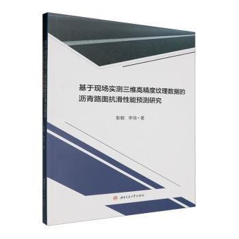 基于現(xiàn)場實測三維高精度紋理數(shù)據(jù)的瀝青路面抗滑性能預(yù)測研究