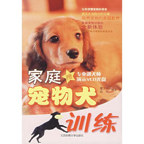 家庭宠物犬训练