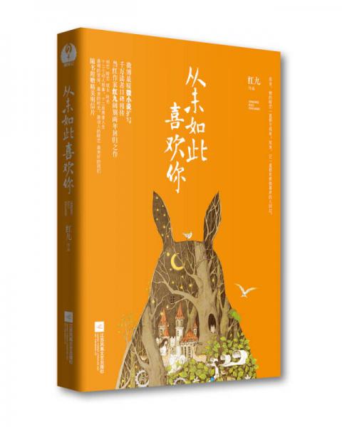 從未如此喜歡你